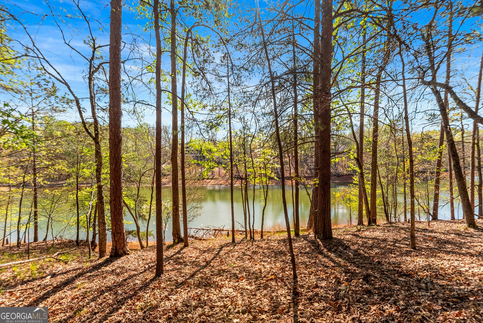 6221 Random Winds Bluff Gainesville - Photo 89