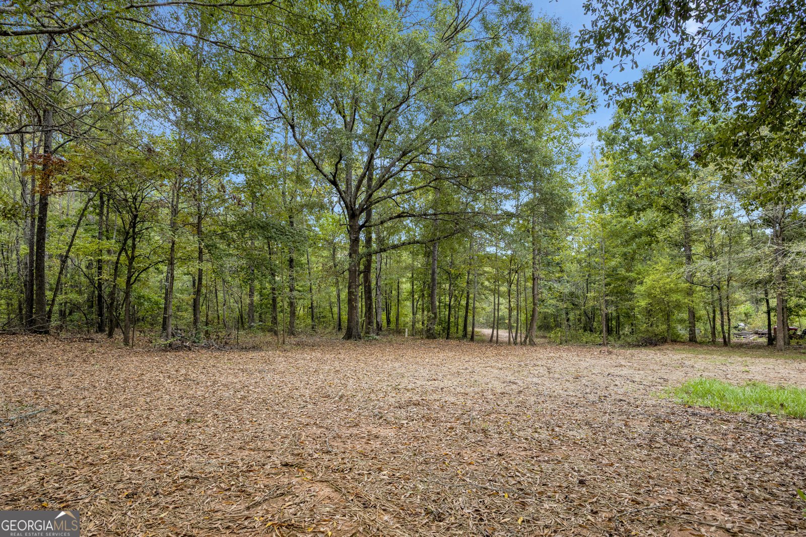 215 Falcon Ridge Newborn - Photo 36