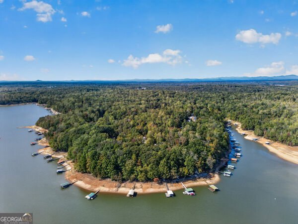 348 Knottywood Drive Lavonia - Photo 41