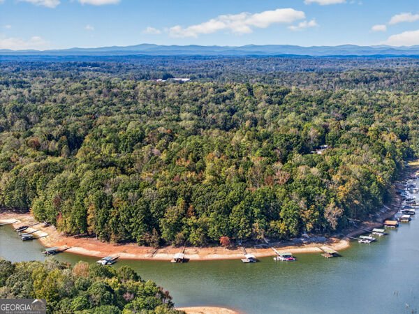 348 Knottywood Drive Lavonia - Photo 42