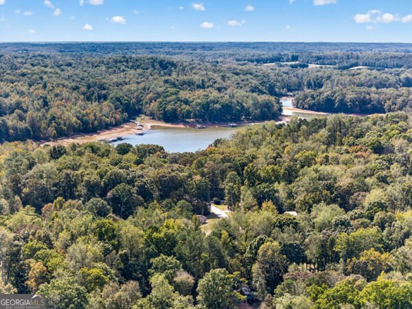 348 Knottywood Drive Lavonia - Photo 43