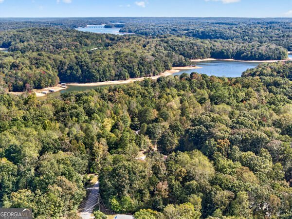 348 Knottywood Drive Lavonia - Photo 45