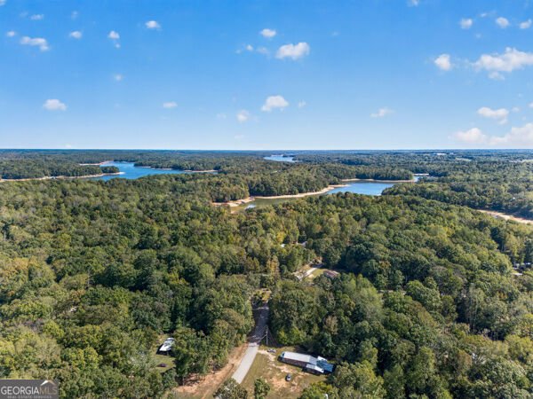 348 Knottywood Drive Lavonia - Photo 46