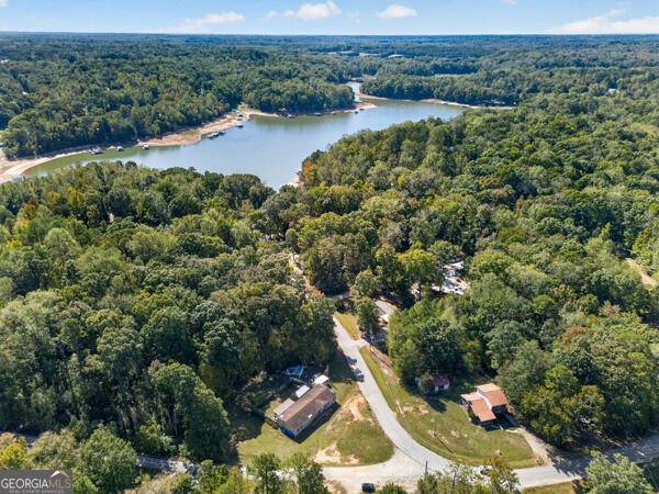 348 Knottywood Drive Lavonia - Photo 47