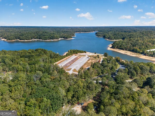 348 Knottywood Drive Lavonia - Photo 48