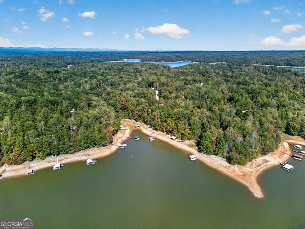 348 Knottywood Drive Lavonia - Photo 49