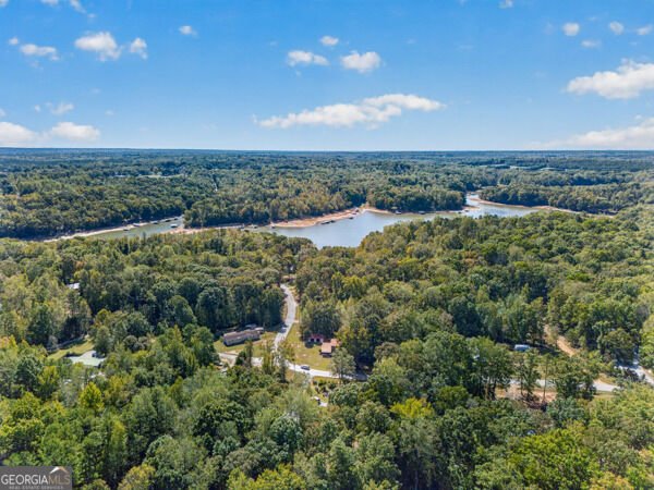 348 Knottywood Drive Lavonia - Photo 50