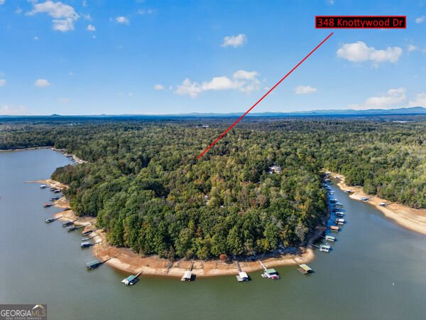 348 Knottywood Drive Lavonia - Photo 52