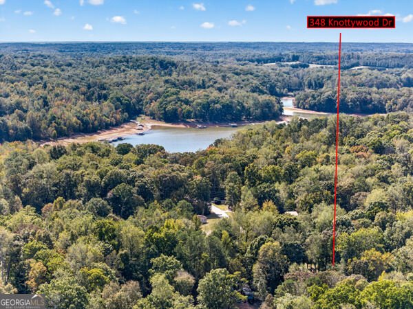 348 Knottywood Drive Lavonia - Photo 54
