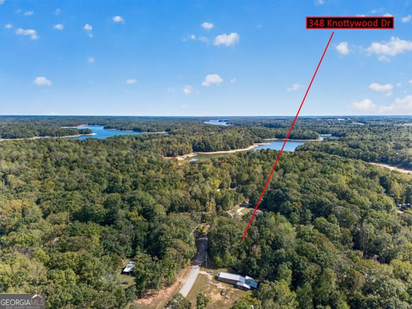348 Knottywood Drive Lavonia - Photo 56