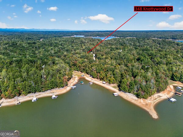 348 Knottywood Drive Lavonia - Photo 60