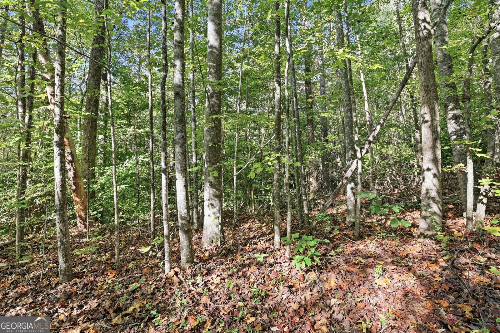 288 Sanctuary Drive Toccoa - Photo 40