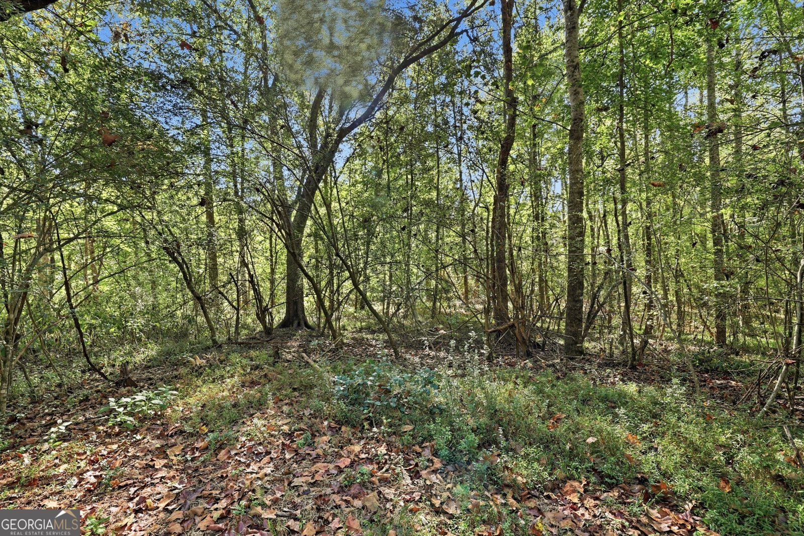 288 Sanctuary Drive Toccoa - Photo 42