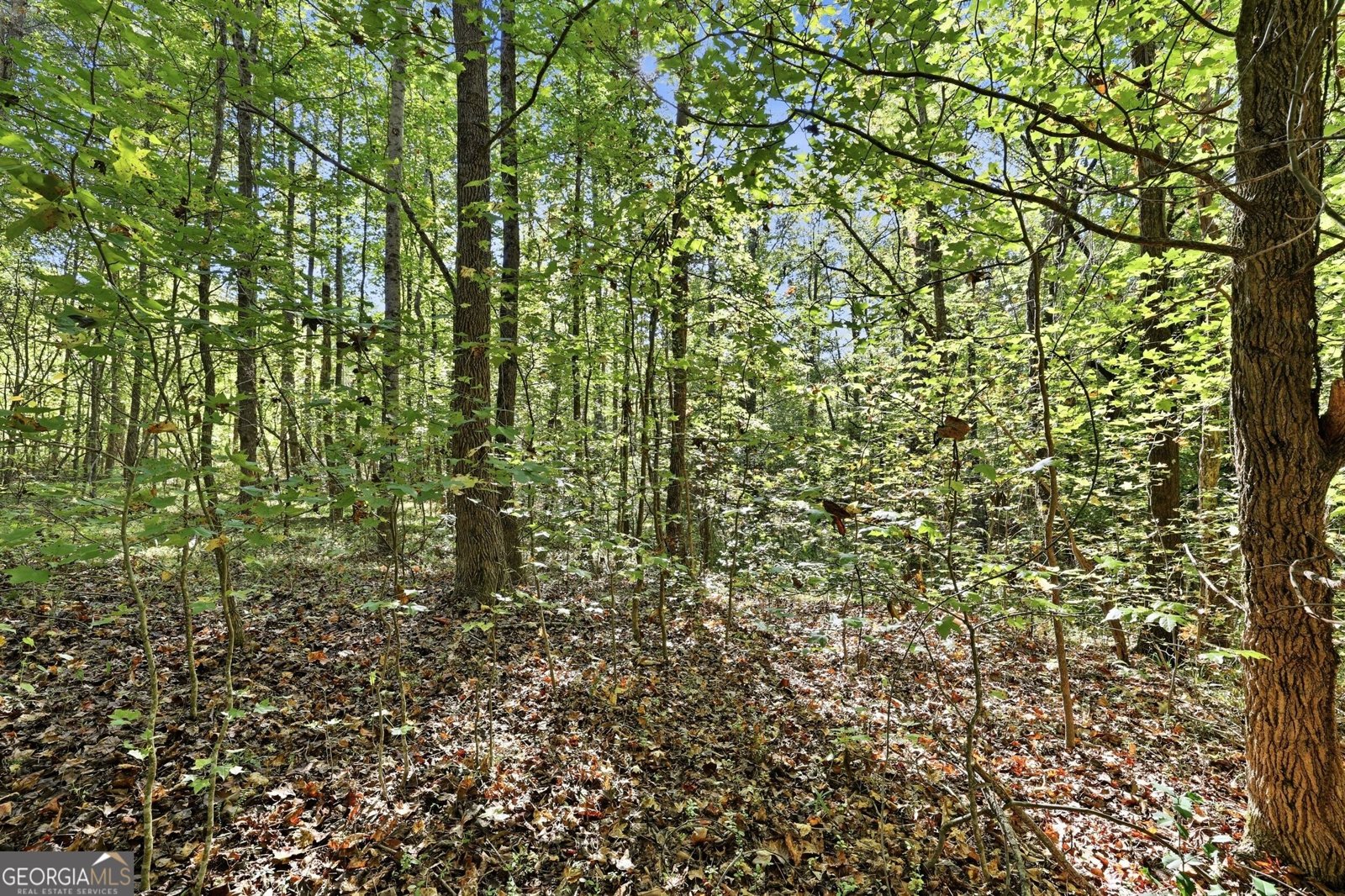 288 Sanctuary Drive Toccoa - Photo 45