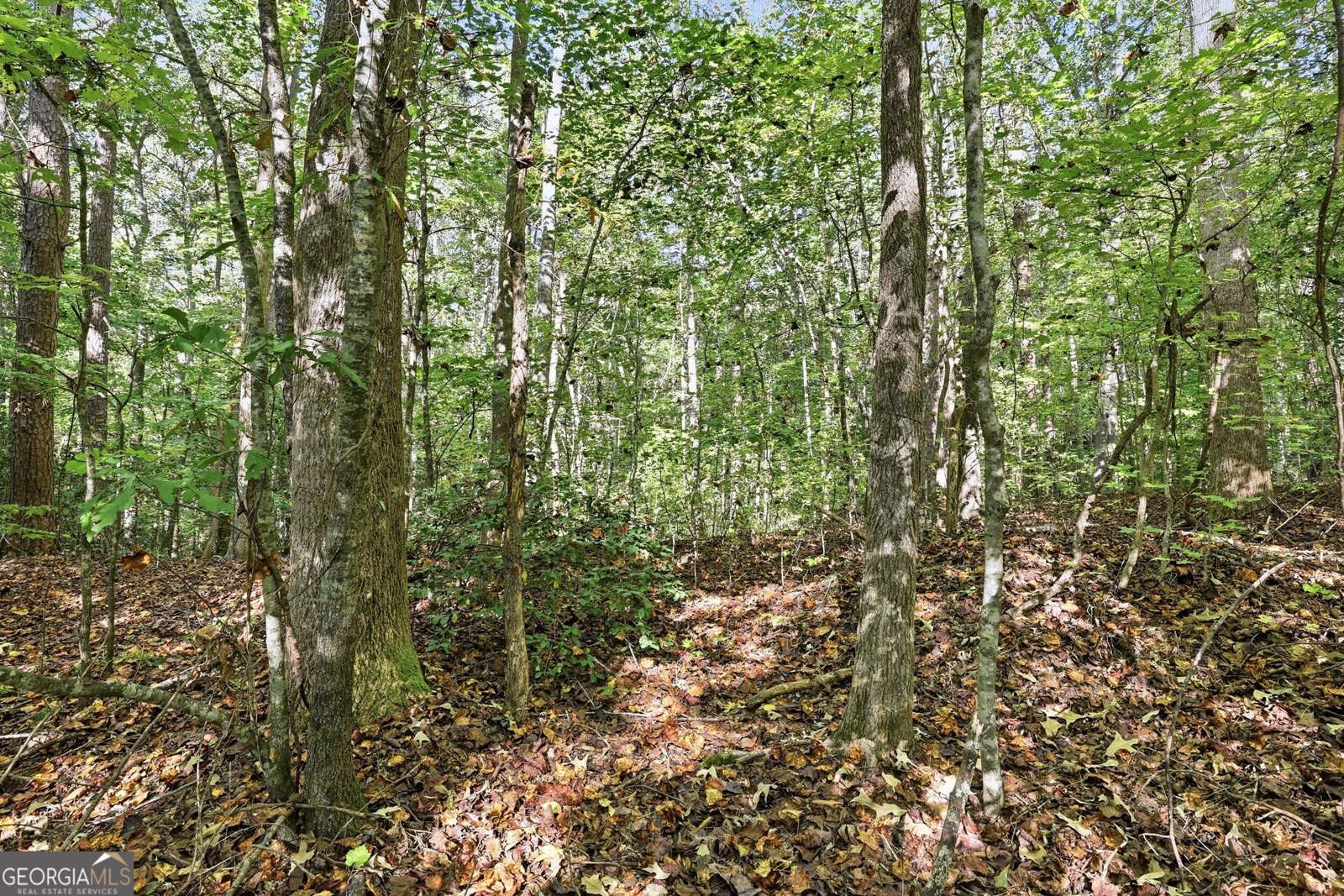 288 Sanctuary Drive Toccoa - Photo 46