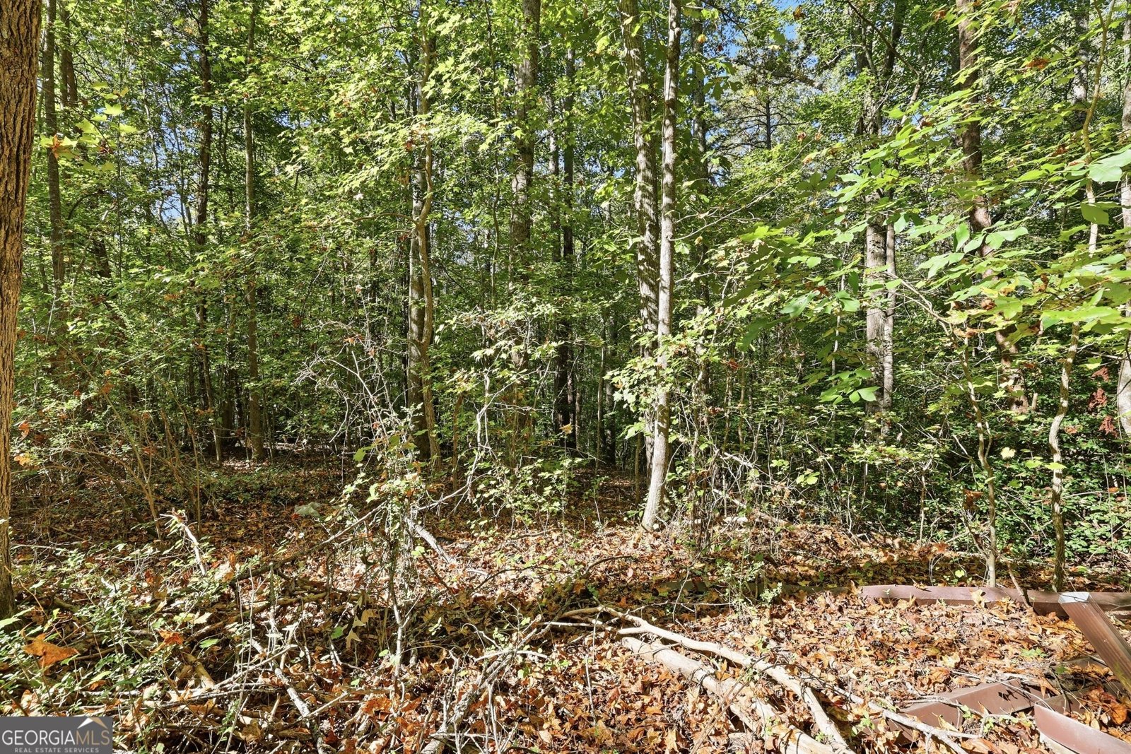 288 Sanctuary Drive Toccoa - Photo 47