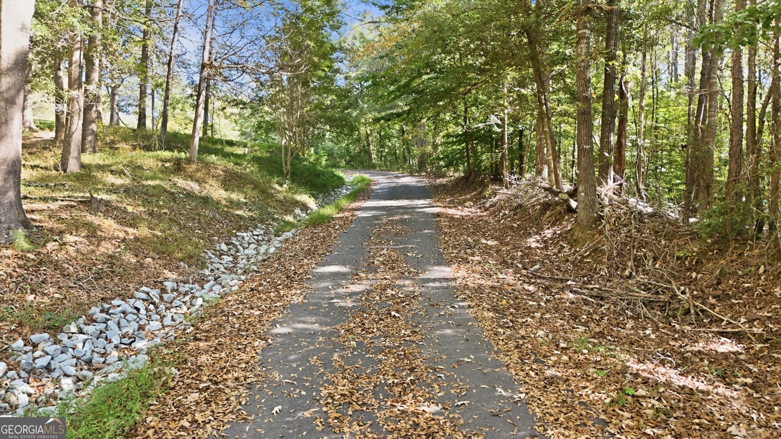 288 Sanctuary Drive Toccoa - Photo 49