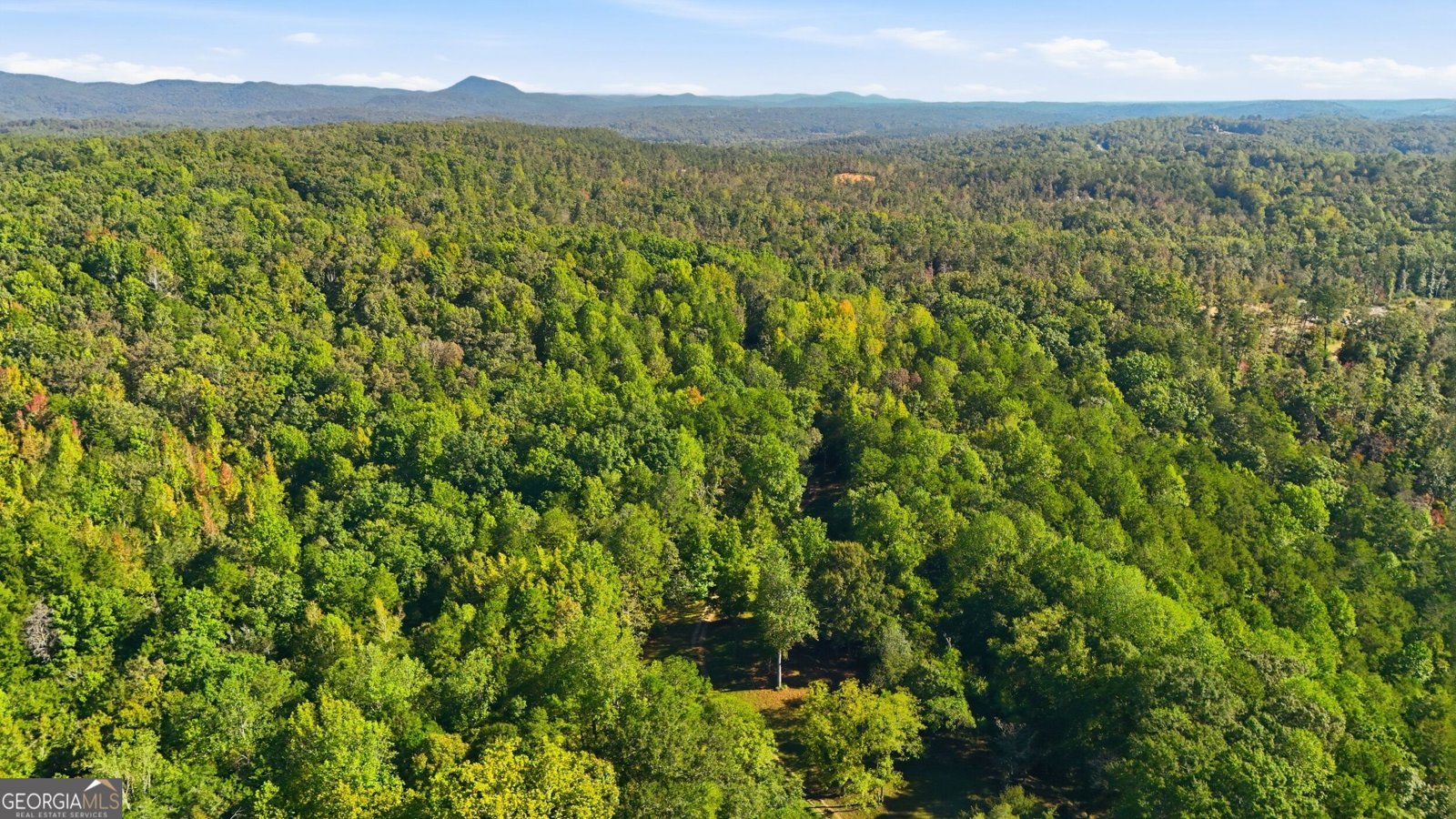 288 Sanctuary Drive Toccoa - Photo 51