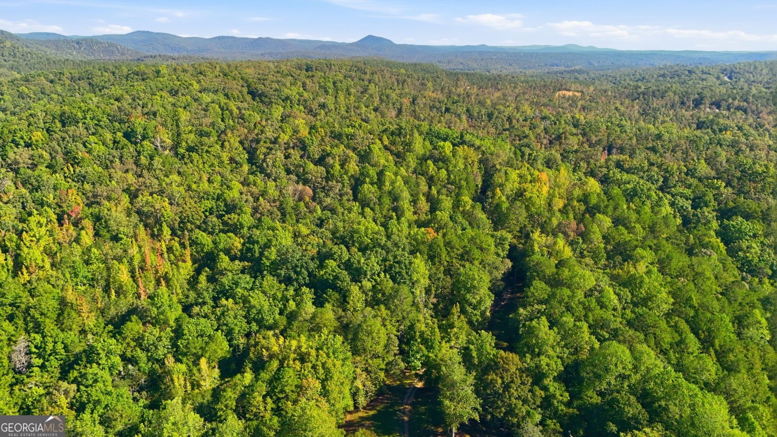 288 Sanctuary Drive Toccoa - Photo 53