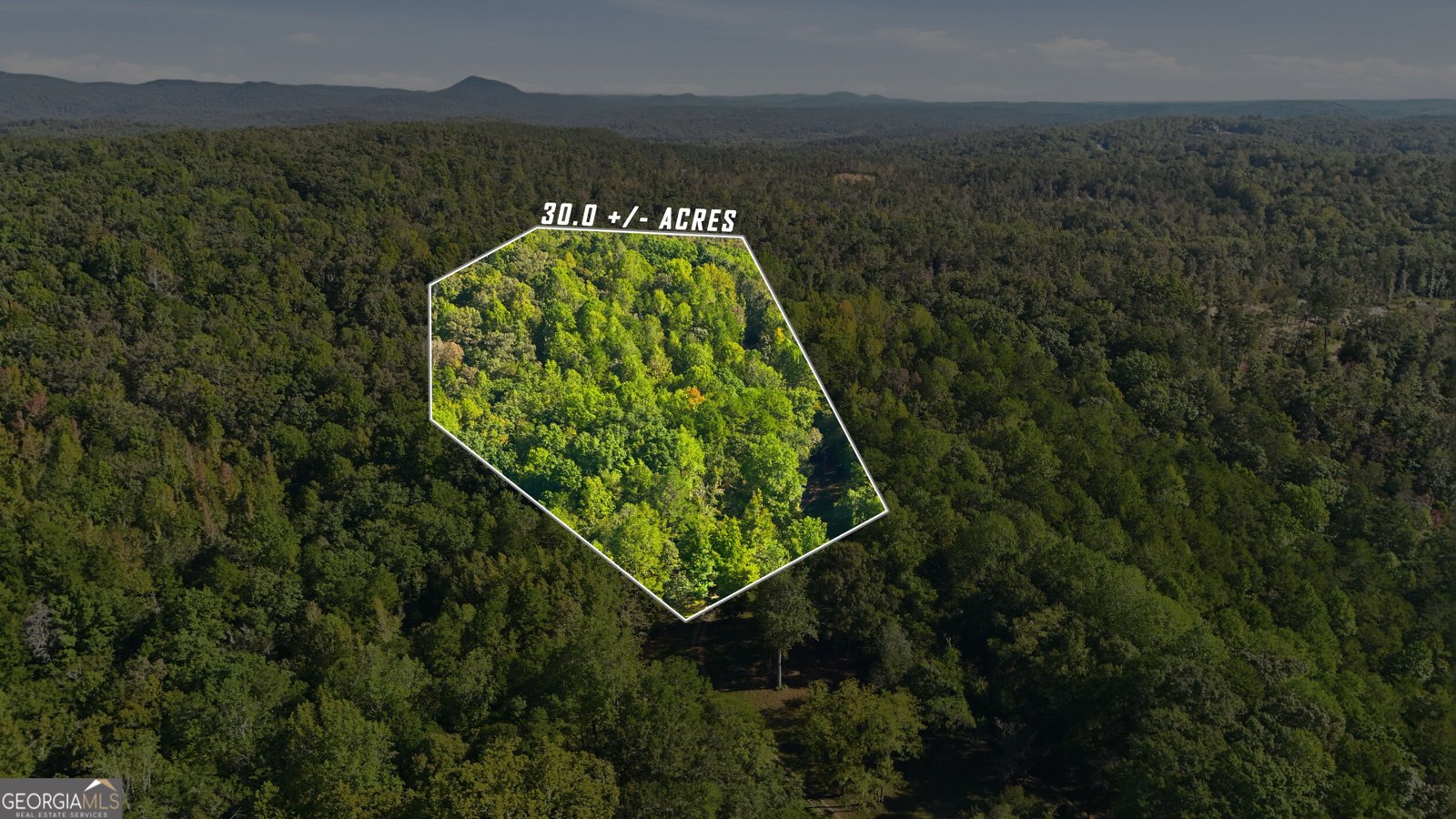288 Sanctuary Drive Toccoa - Photo 61