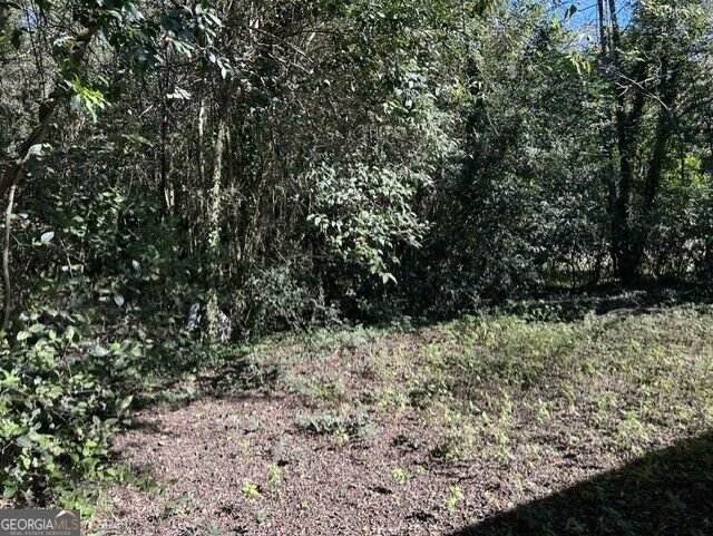 1121 Lyons Street Macon - Photo 17