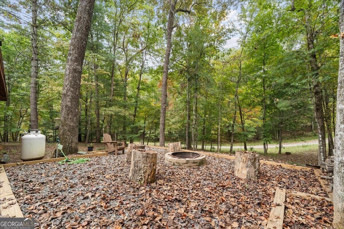 38 Sweetwater Trail Epworth - Photo 39