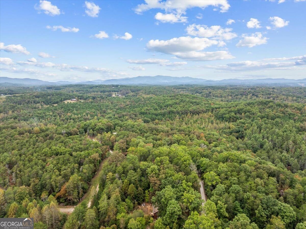 38 Sweetwater Trail Epworth - Photo 44