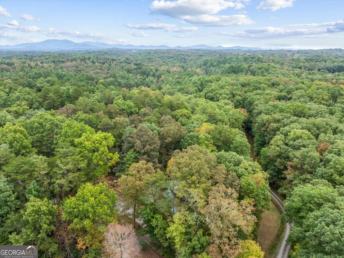 38 Sweetwater Trail Epworth - Photo 45
