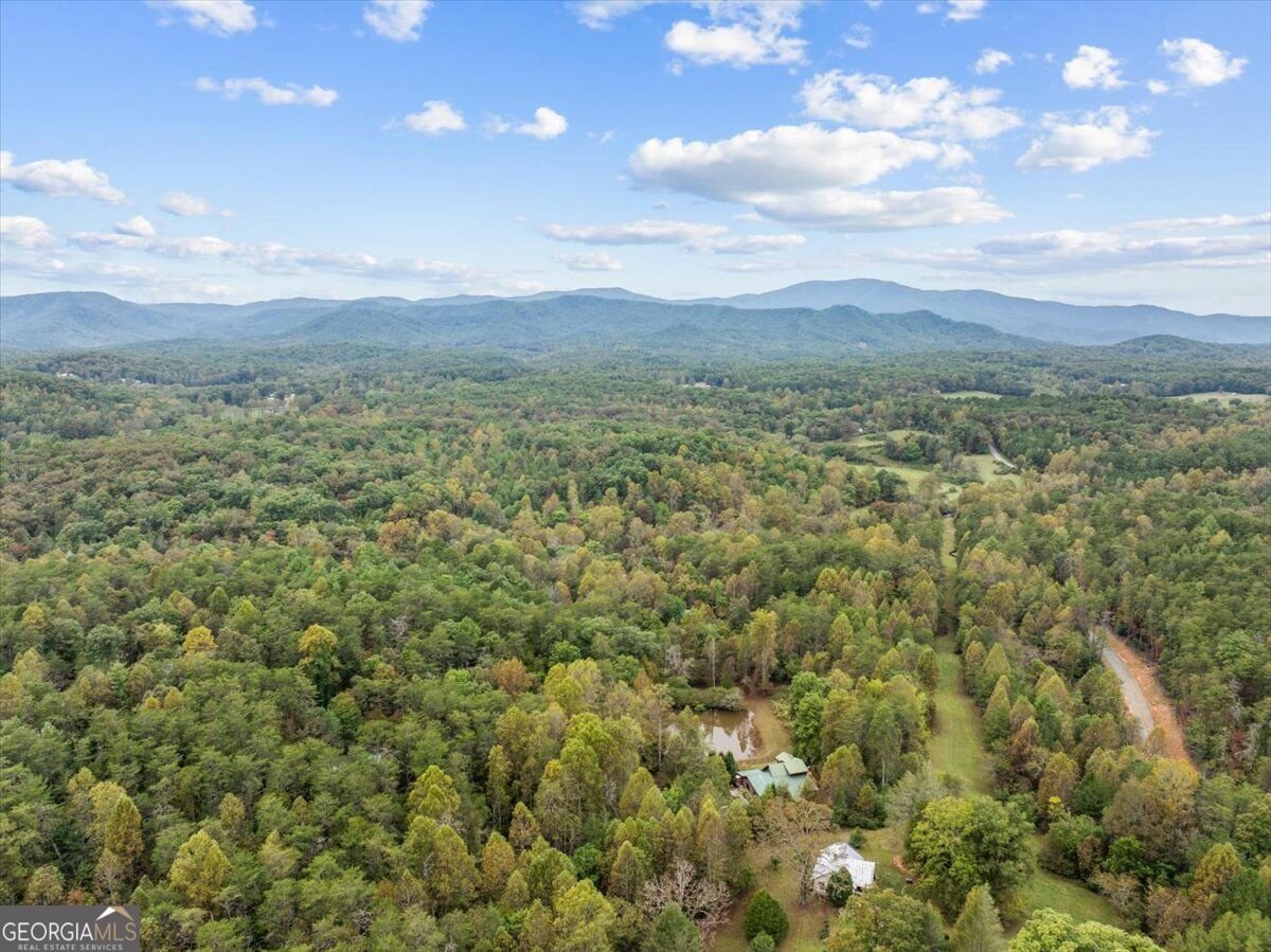 38 Sweetwater Trail Epworth - Photo 46