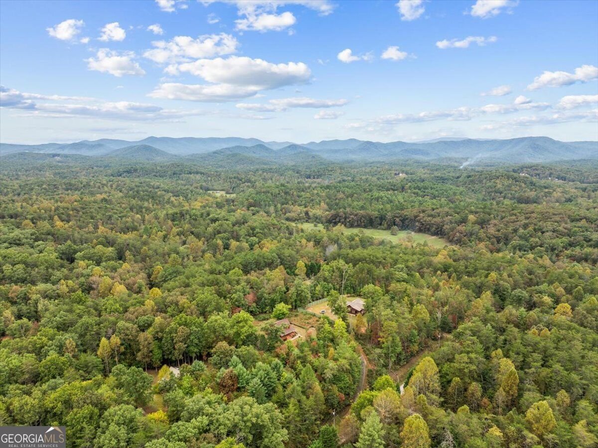 38 Sweetwater Trail Epworth - Photo 47