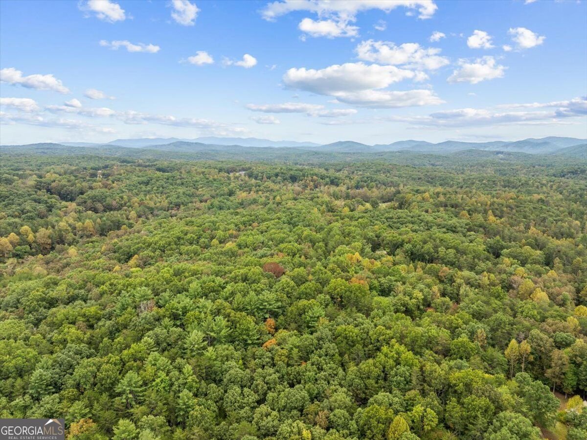 38 Sweetwater Trail Epworth - Photo 48