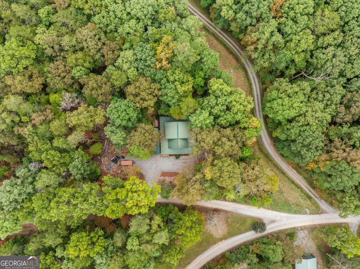38 Sweetwater Trail Epworth - Photo 49