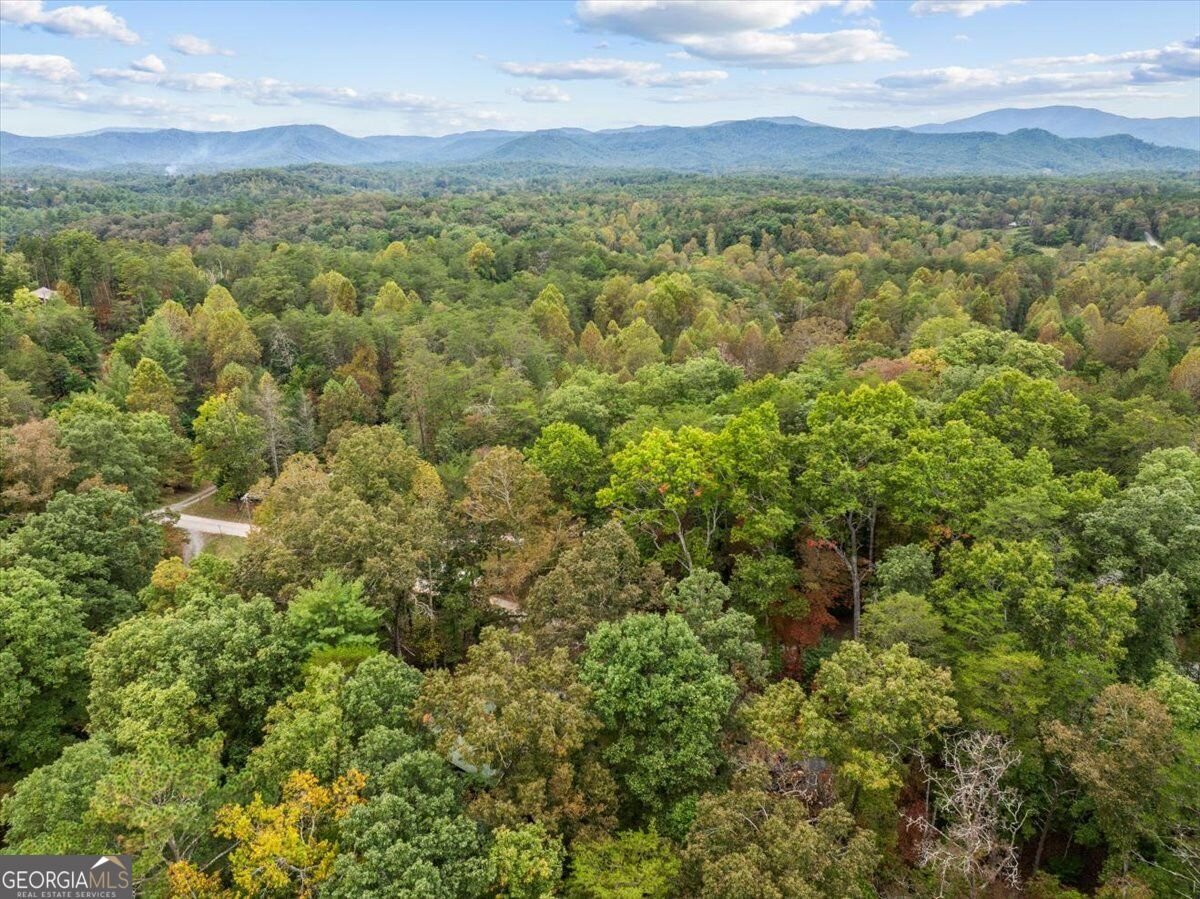 38 Sweetwater Trail Epworth - Photo 50