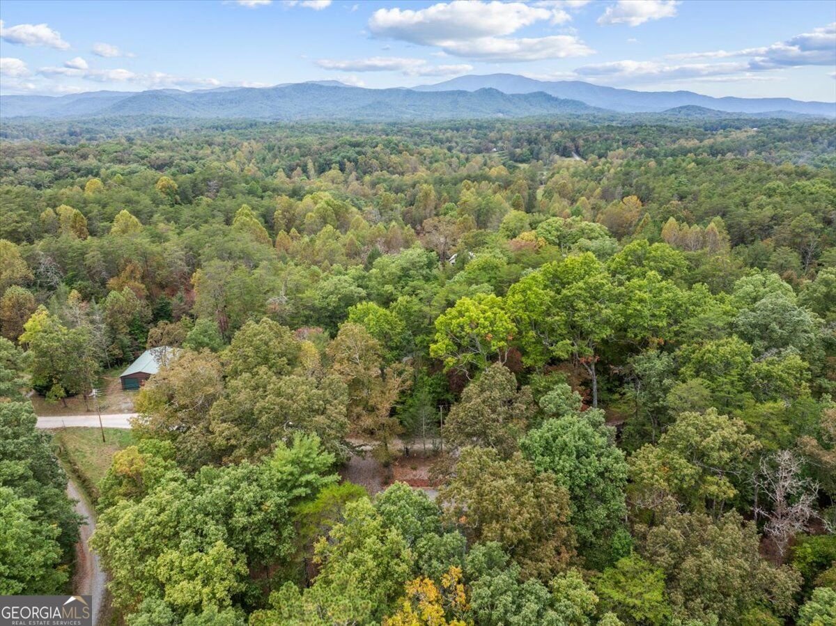 38 Sweetwater Trail Epworth - Photo 51