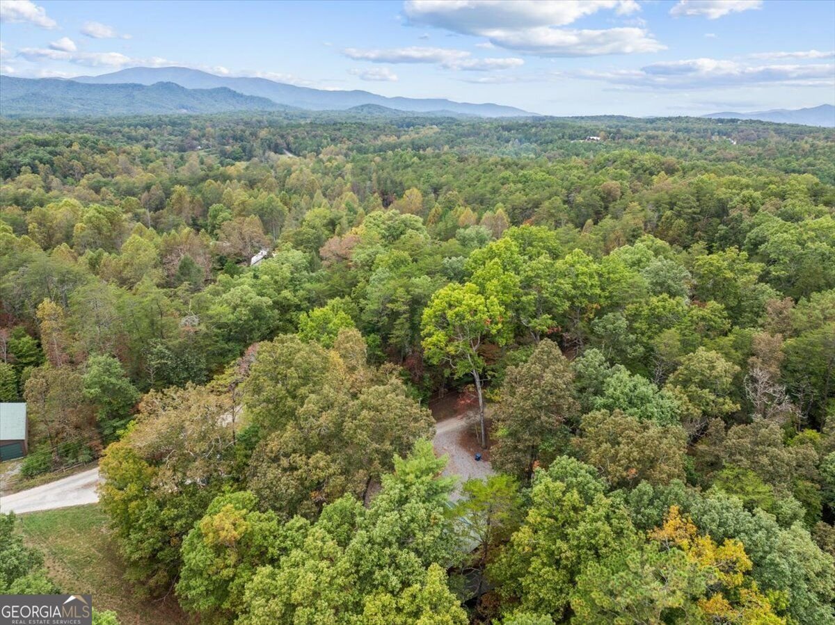 38 Sweetwater Trail Epworth - Photo 52