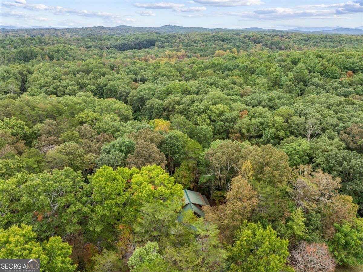 38 Sweetwater Trail Epworth - Photo 53