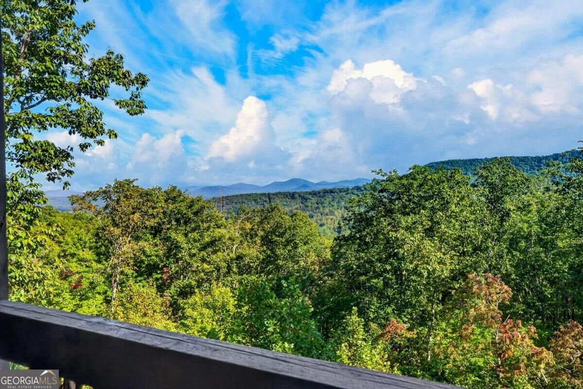 559 Overlook Trail Blue Ridge - Photo 31