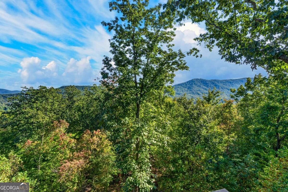 559 Overlook Trail Blue Ridge - Photo 32