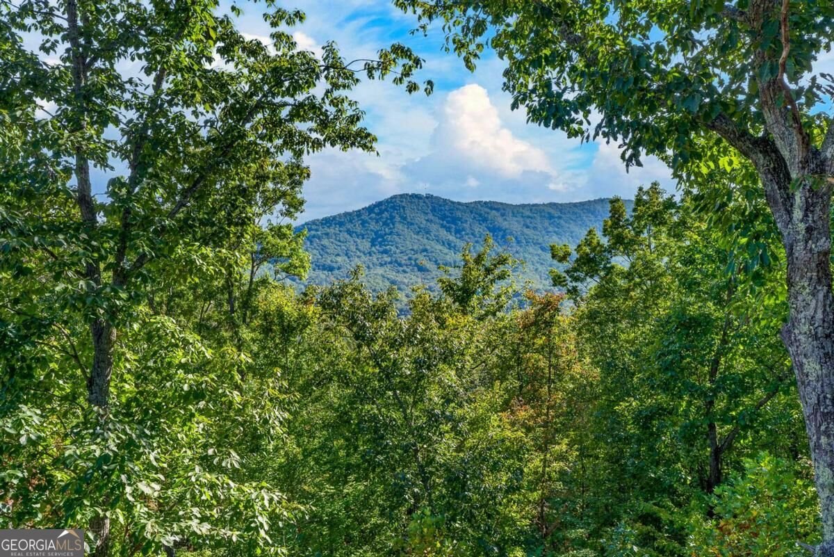 559 Overlook Trail Blue Ridge - Photo 33