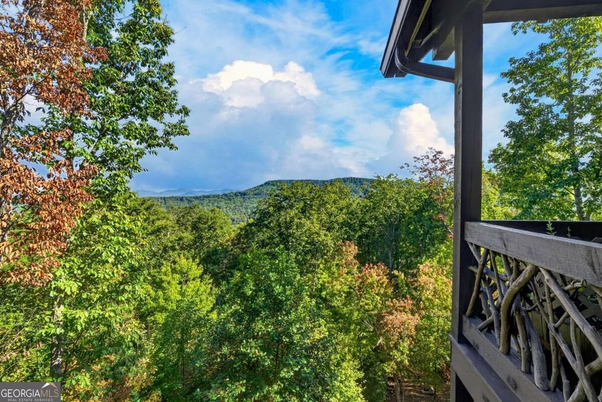 559 Overlook Trail Blue Ridge - Photo 35