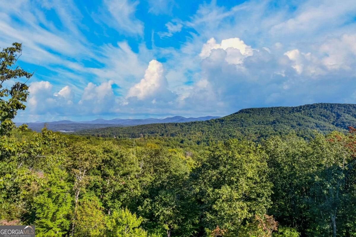 559 Overlook Trail Blue Ridge - Photo 63