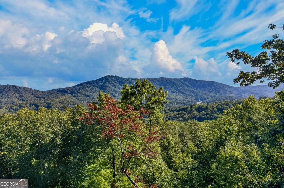 559 Overlook Trail Blue Ridge - Photo 64