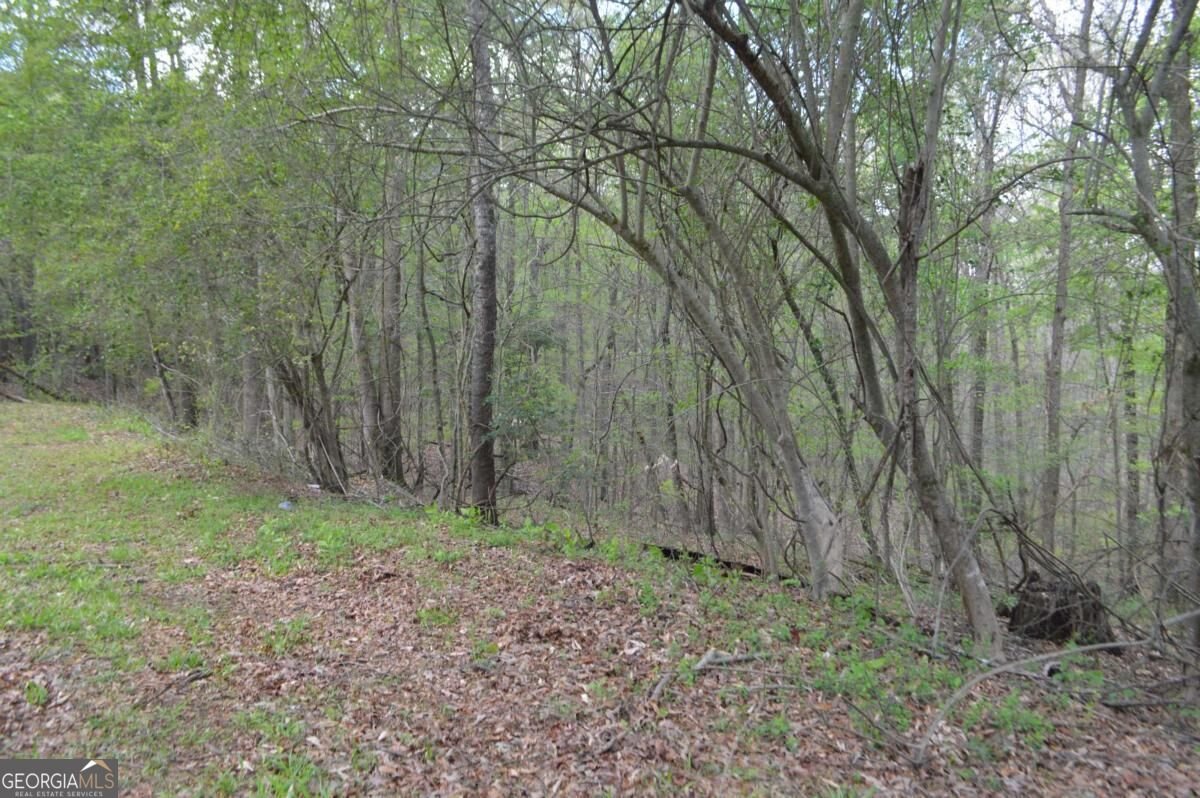 66 Topaz Lane Royston - Photo 21