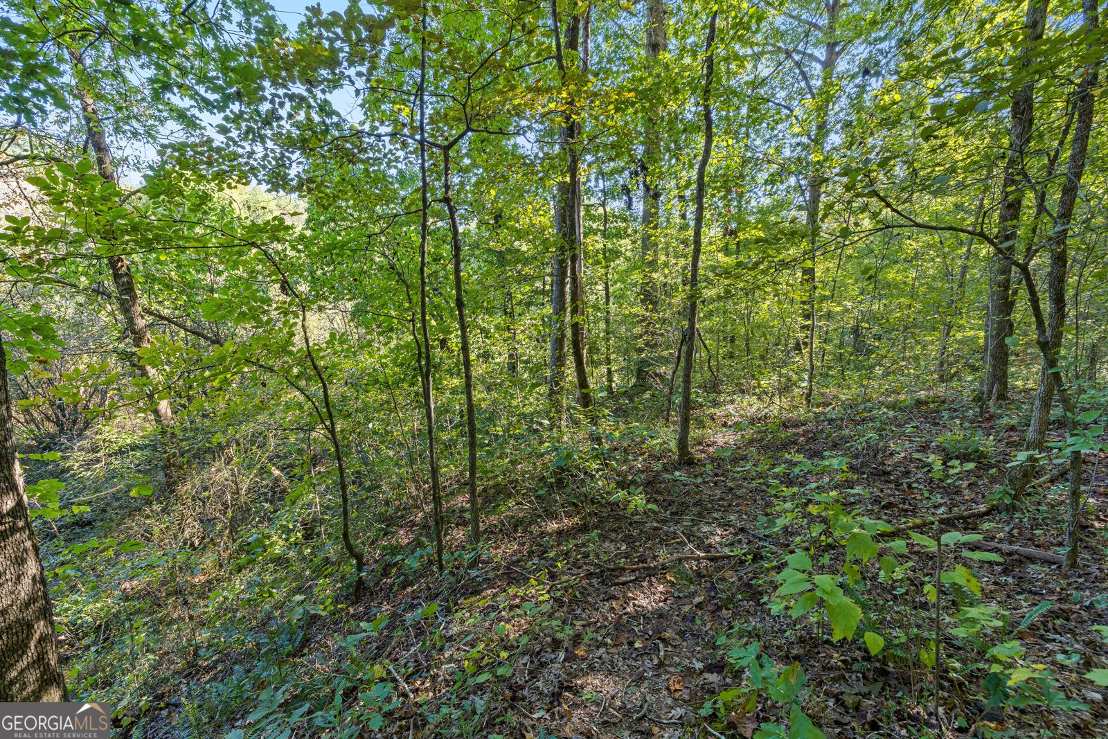 239 Fenner Road Jackson - Photo 45