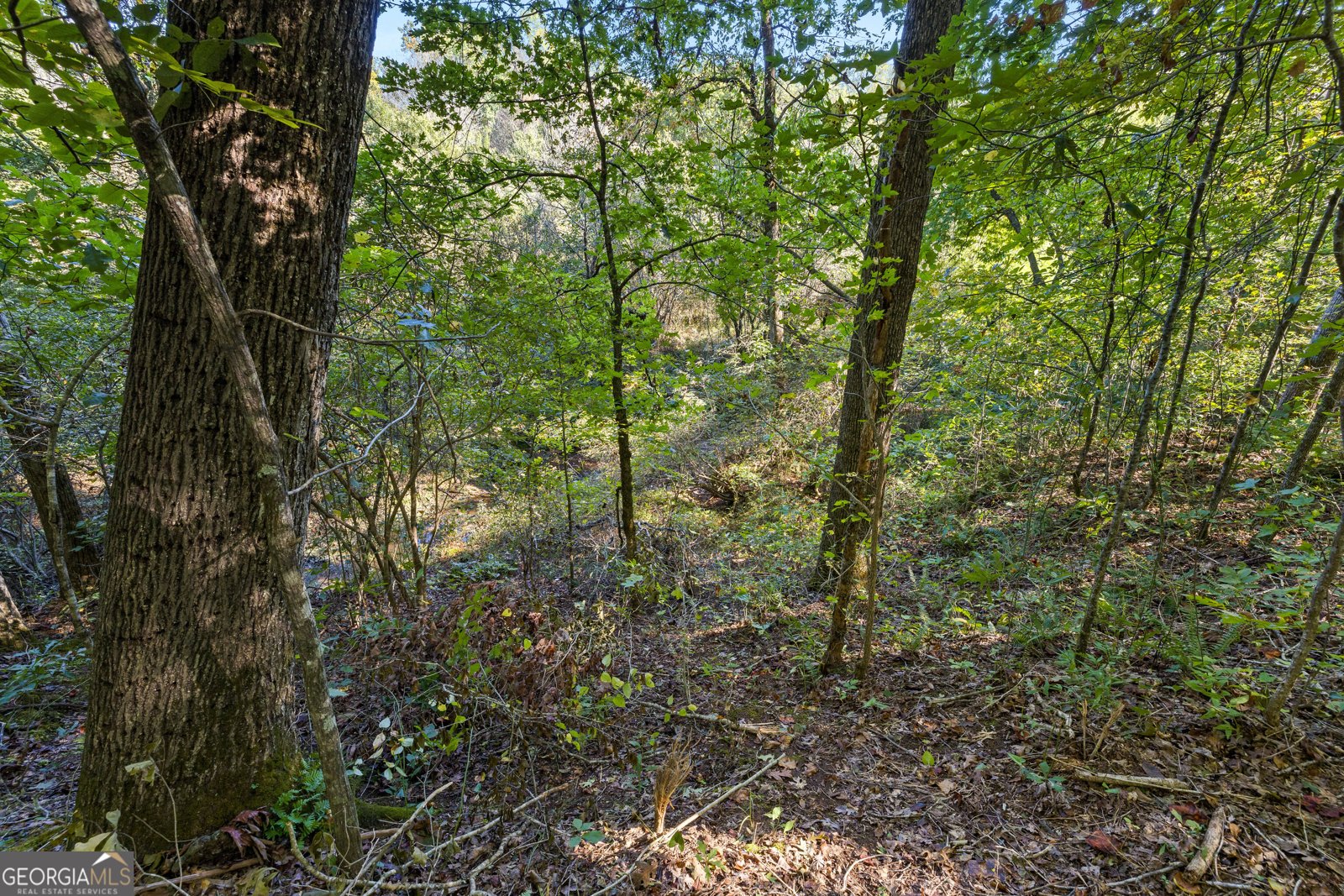 239 Fenner Road Jackson - Photo 46