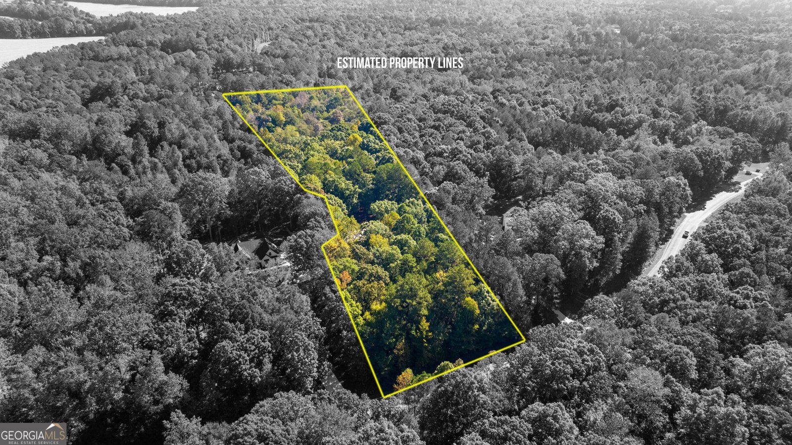 239 Fenner Road Jackson - Photo 47
