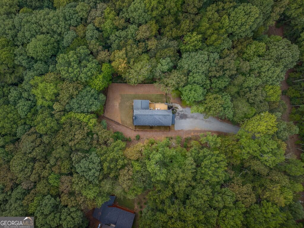 63 Laurel Trace Blue Ridge - Photo 108