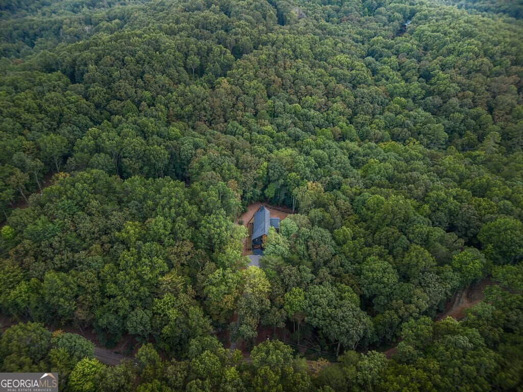 63 Laurel Trace Blue Ridge - Photo 109