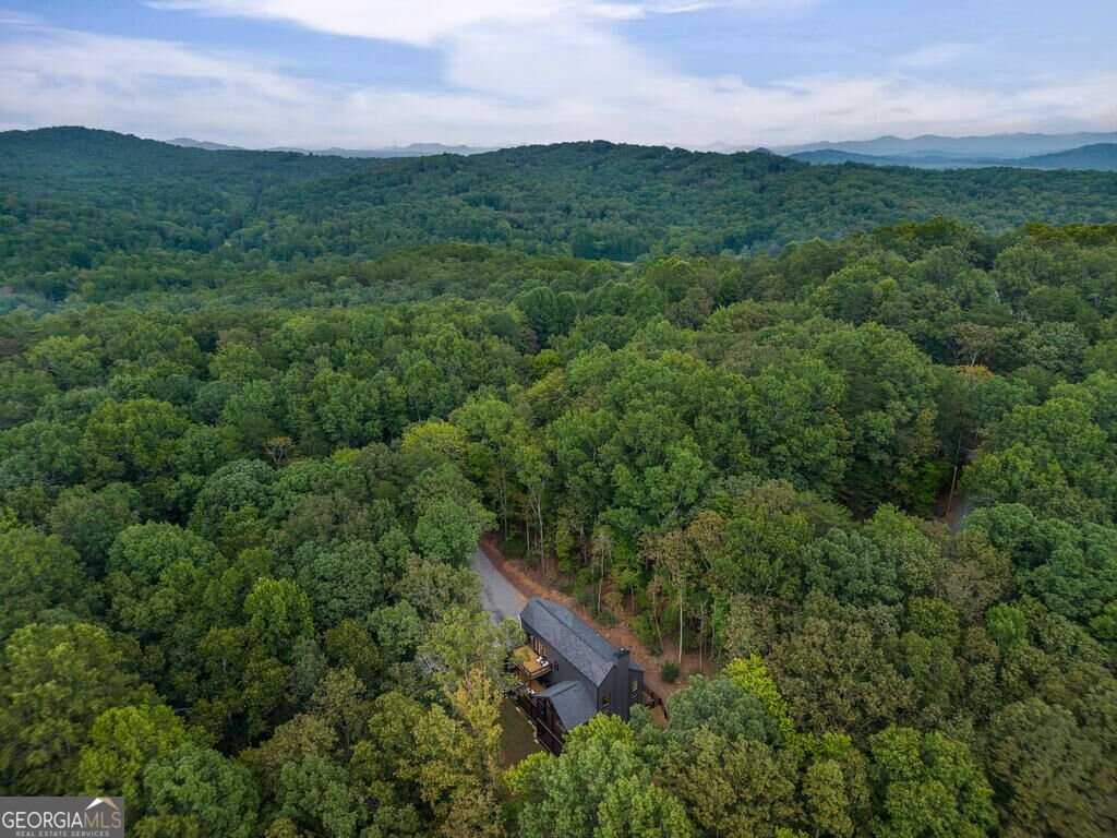 63 Laurel Trace Blue Ridge - Photo 110