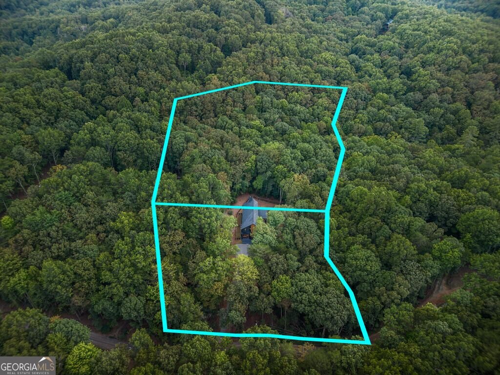 63 Laurel Trace Blue Ridge - Photo 8